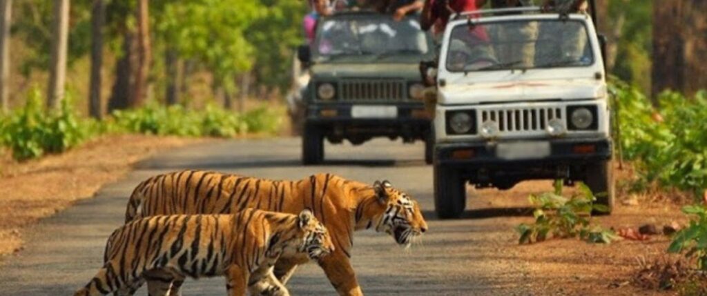 uttarakhand-jim-corbett